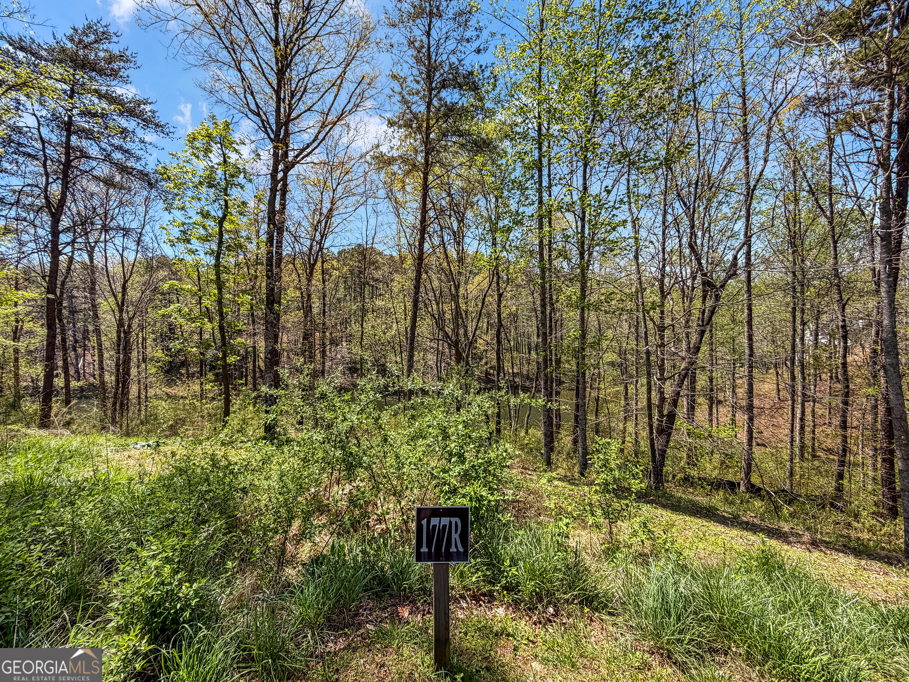 177R Overlook Drive Ellijay GA 30536