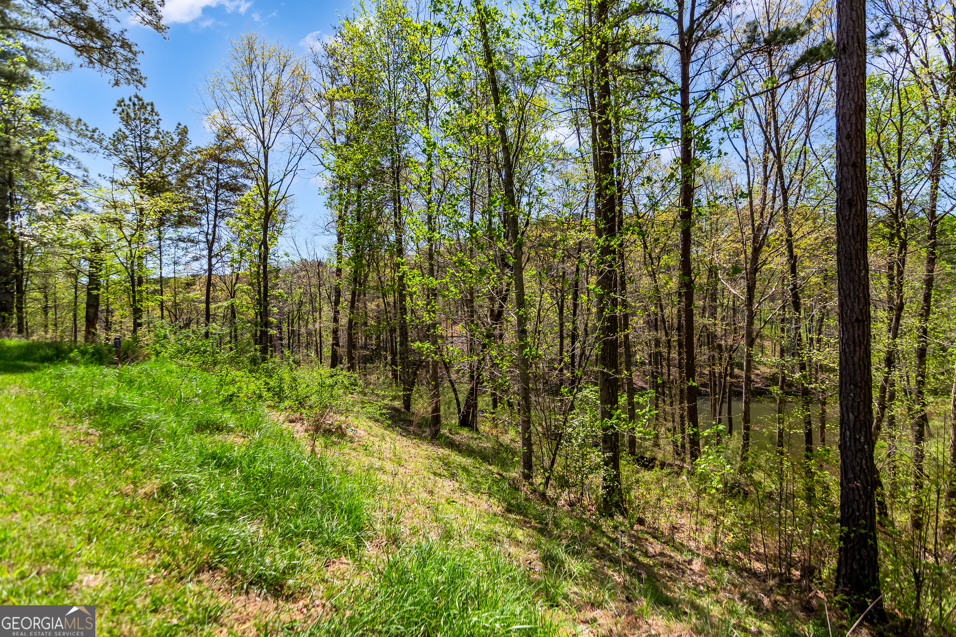 177R Overlook Drive Ellijay GA 30536