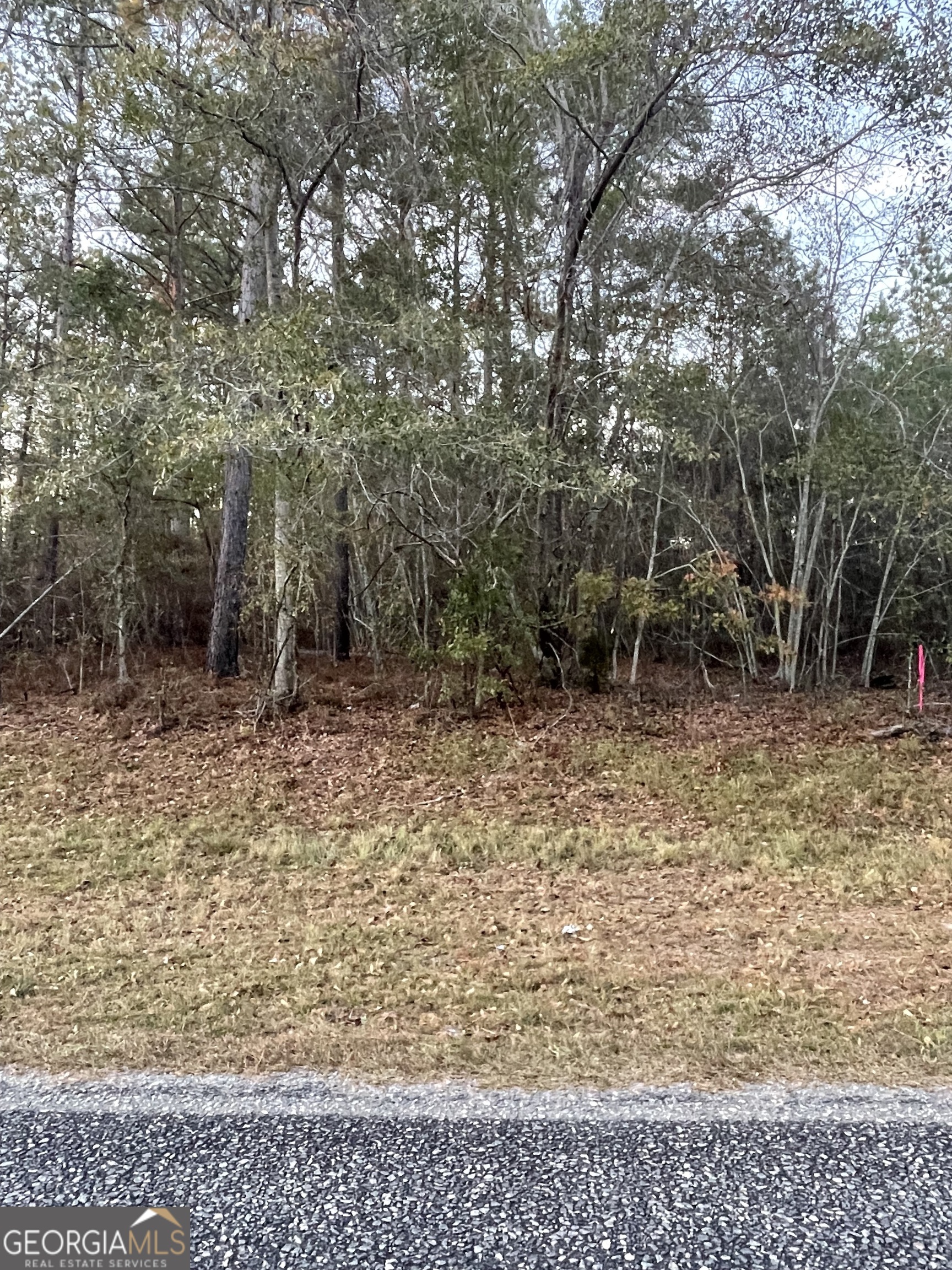 0 Canoochee Bypass Road Twin City GA 30471