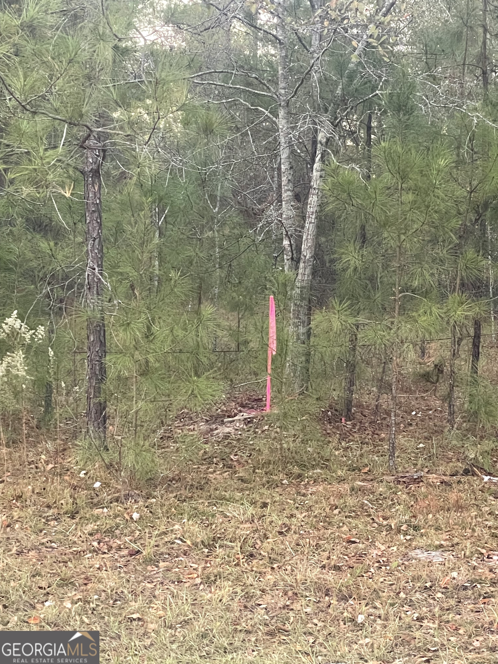 0 Canoochee Bypass Road Twin City GA 30471