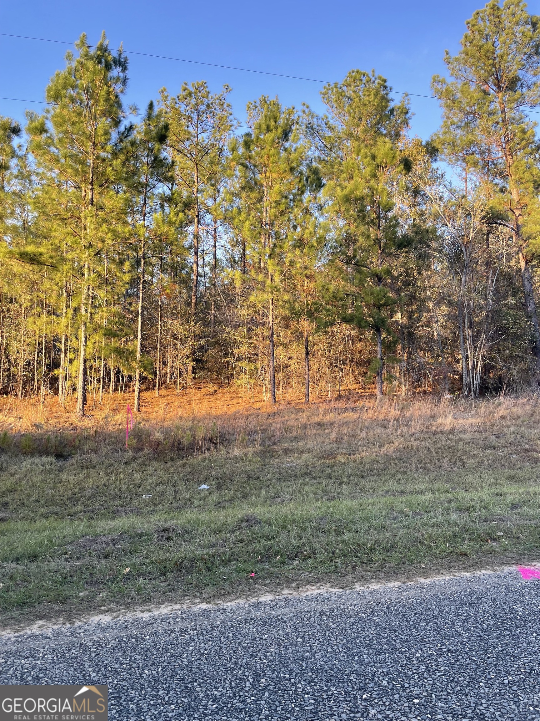 0 Canoochee Bypass Road Twin City GA 30471