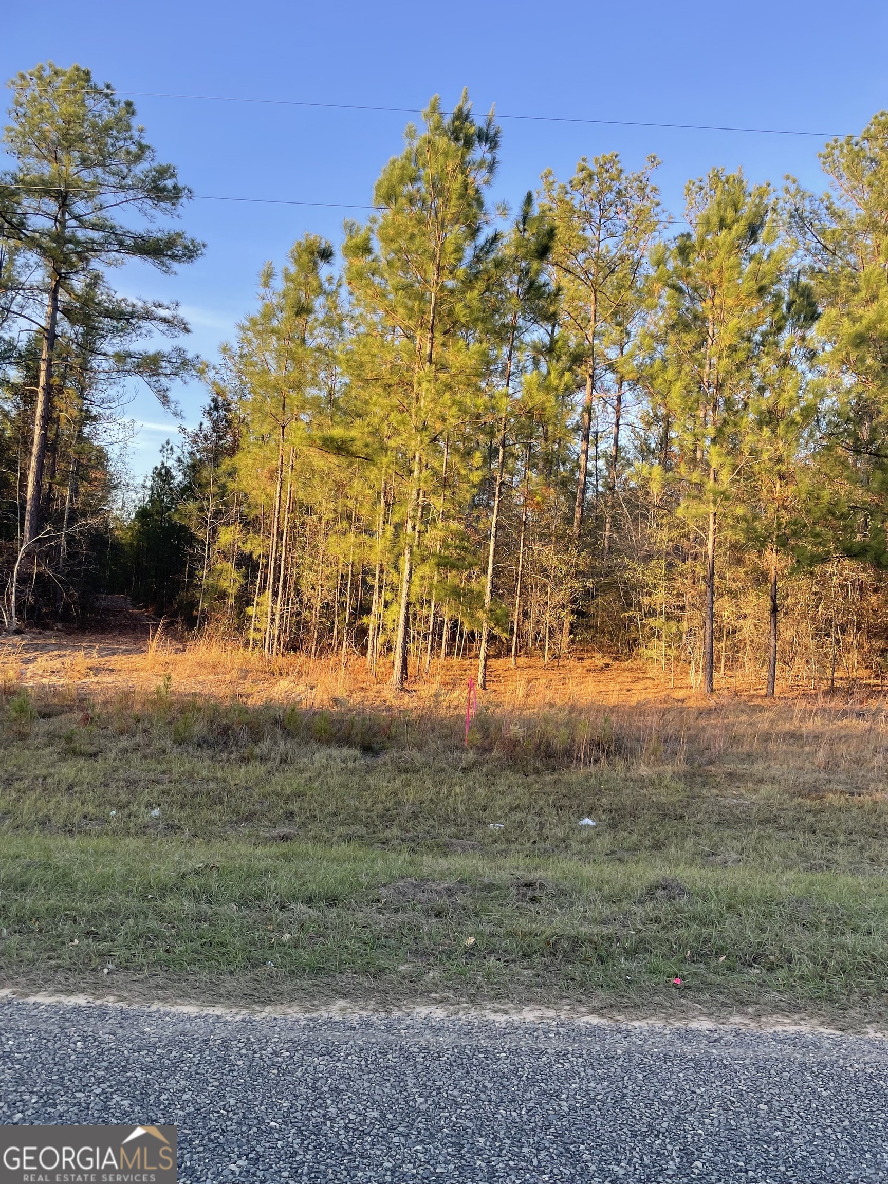 0 Canoochee Bypass Road Twin City GA 30471