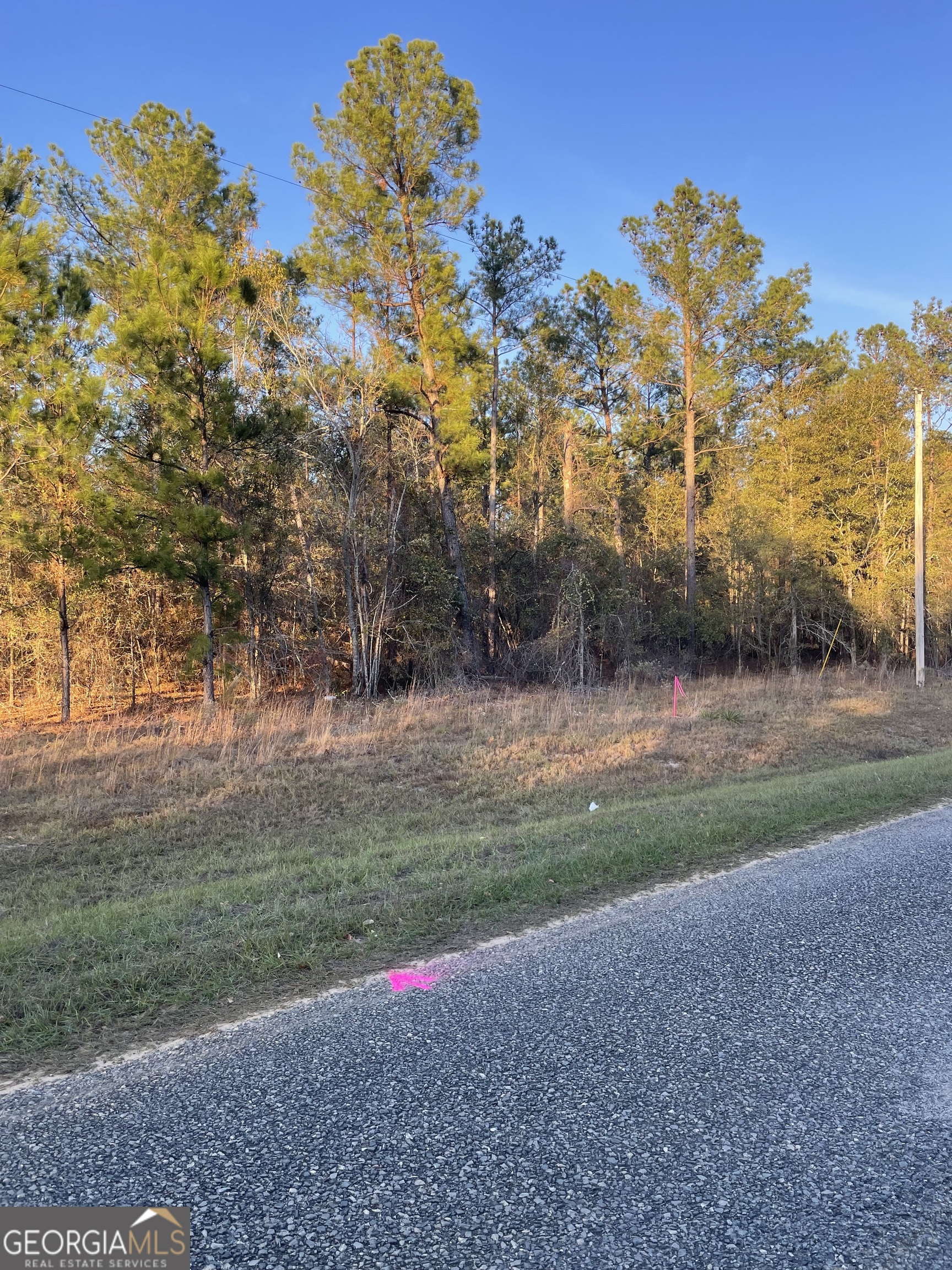 0 Canoochee Bypass Road Twin City GA 30471
