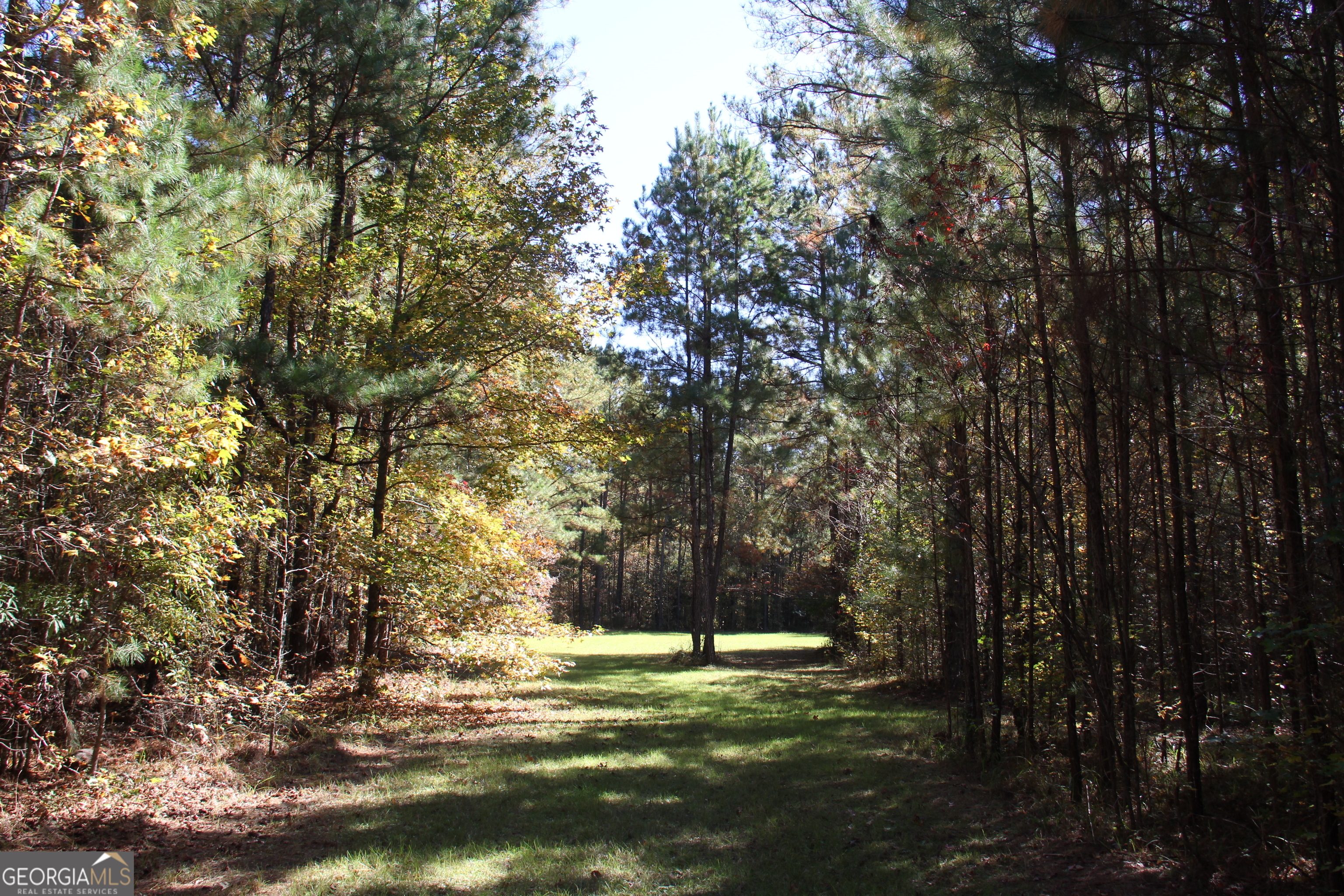 504 Jenkins Road Forsyth GA 31029