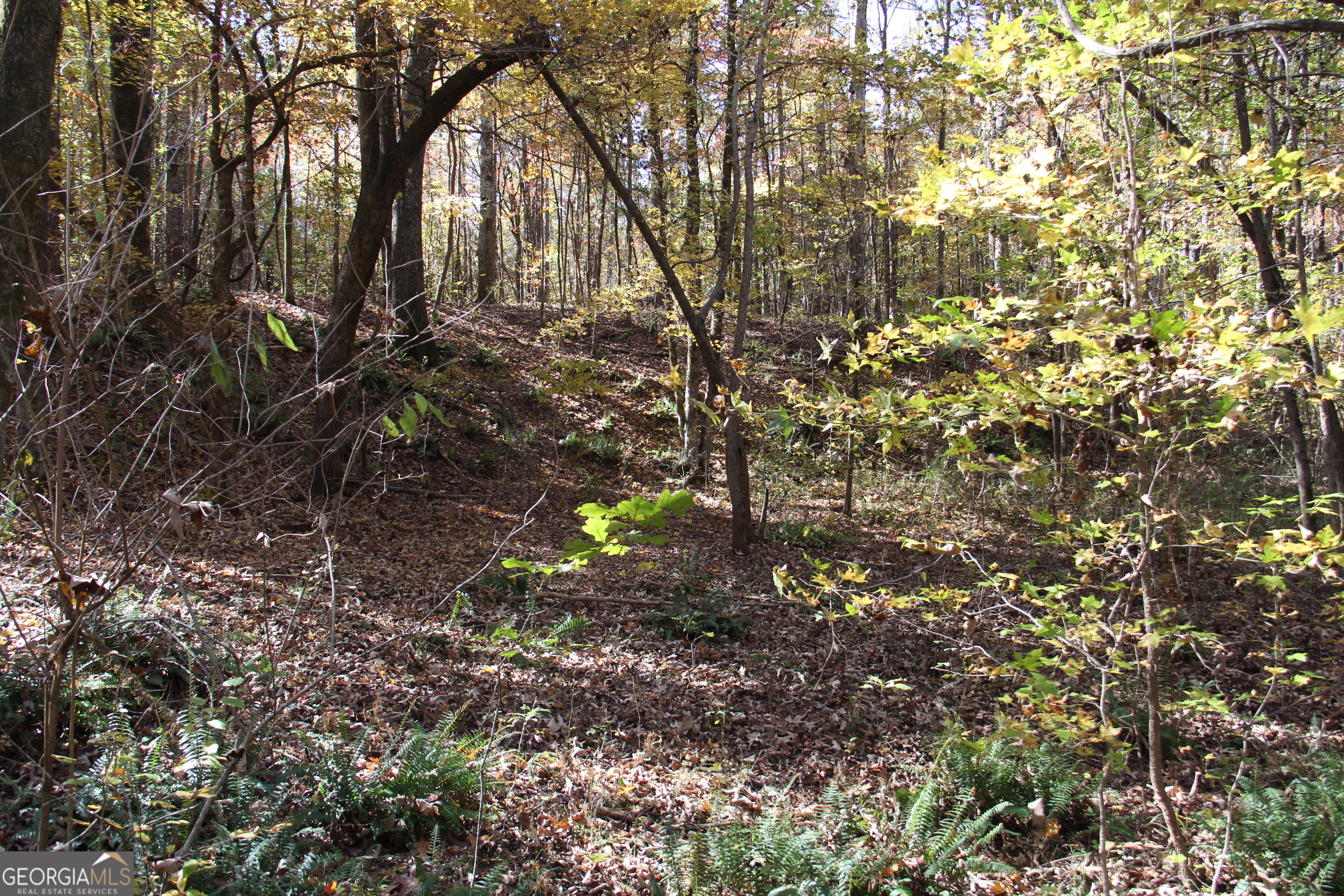 504 Jenkins Road Forsyth GA 31029