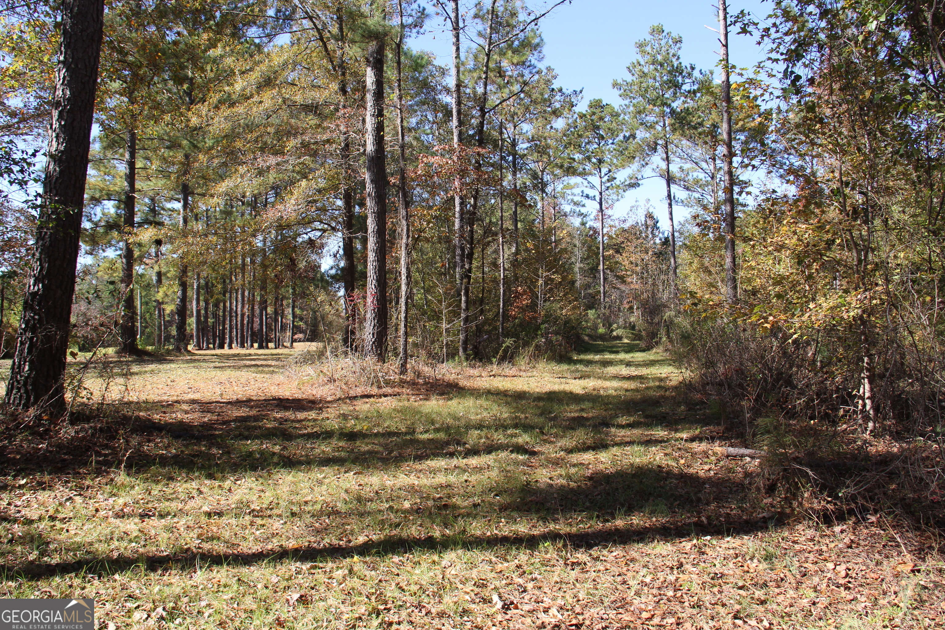 504 Jenkins Road Forsyth GA 31029