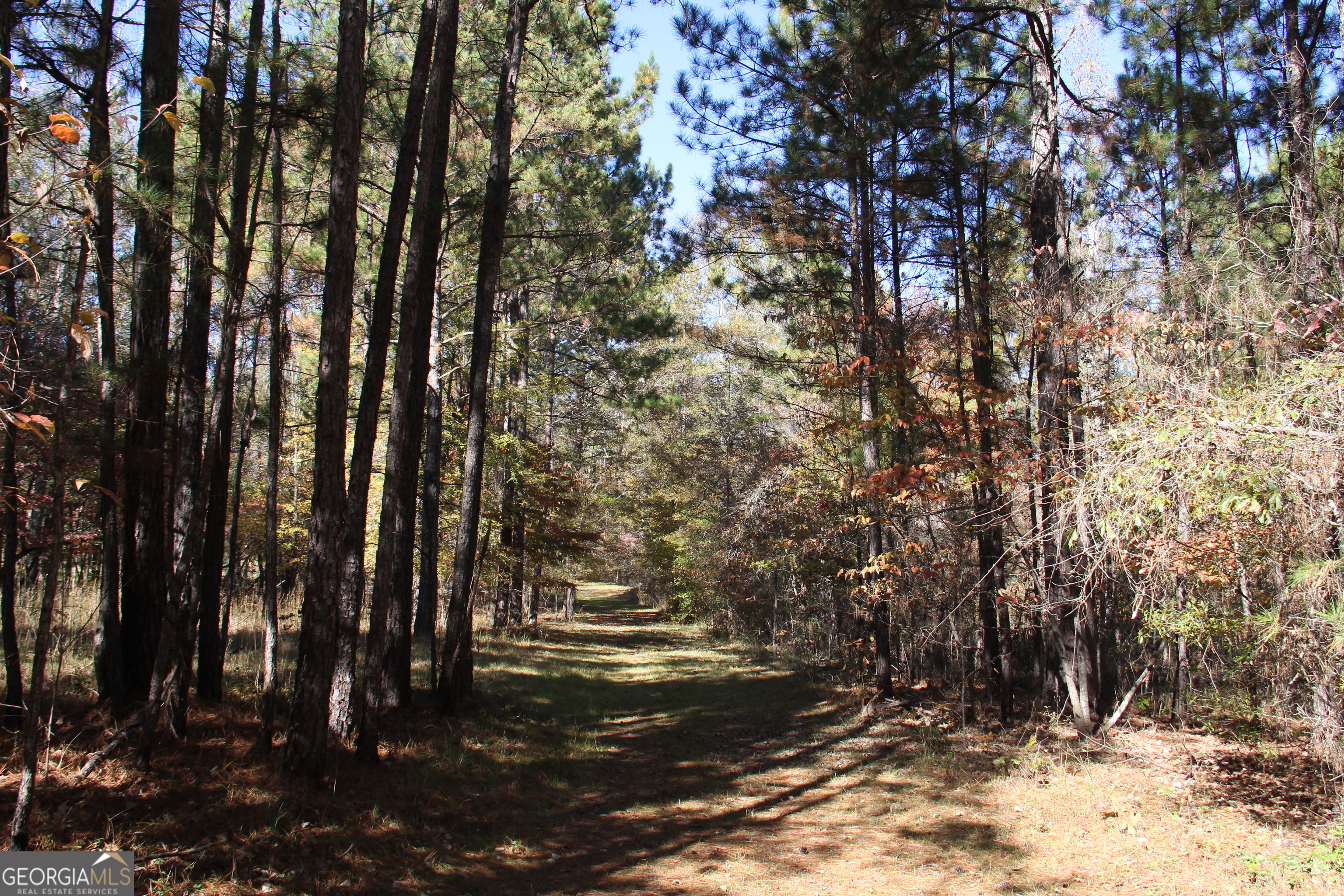 504 Jenkins Road Forsyth GA 31029