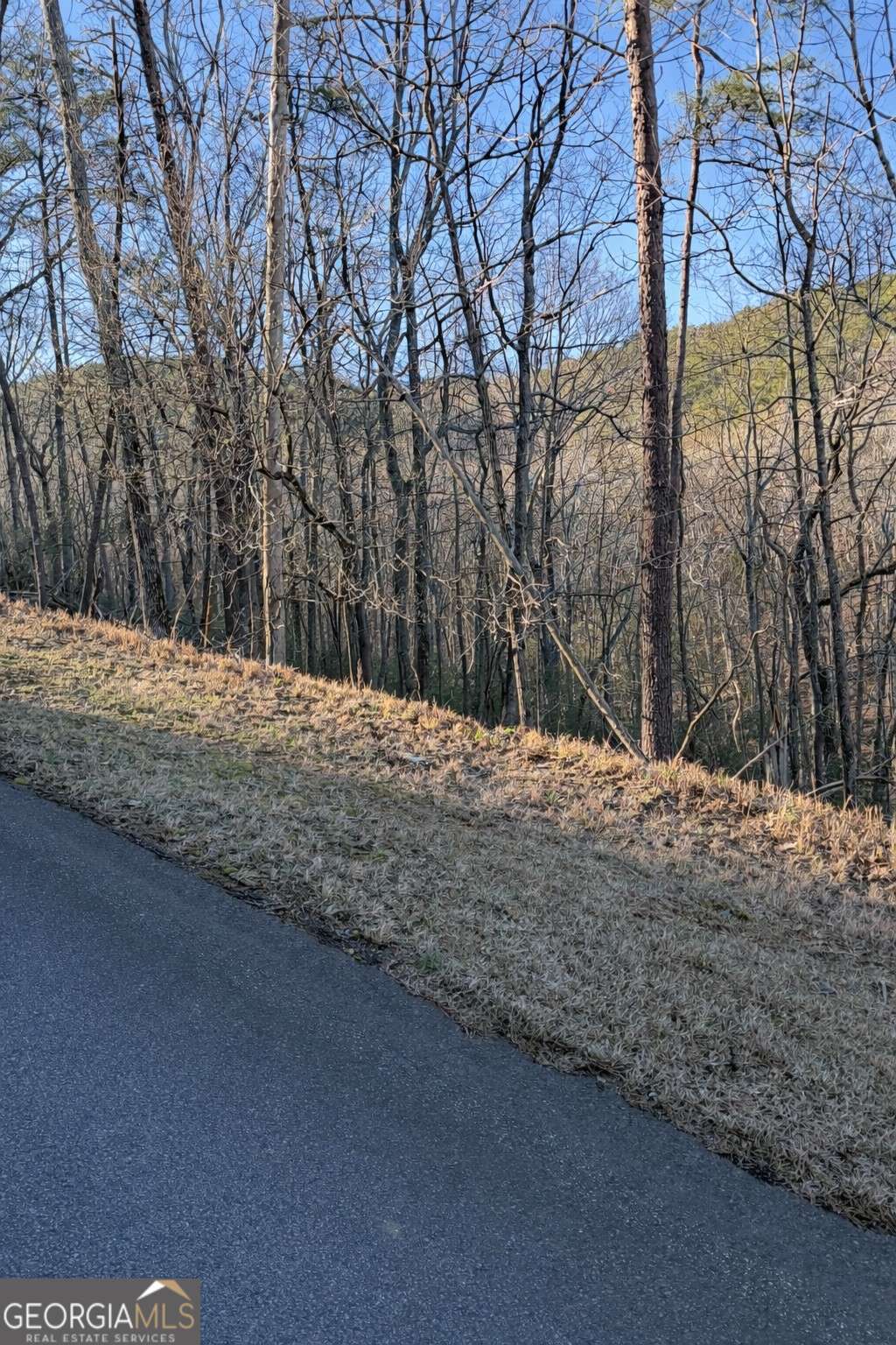 282 Chickasaw Drive Waleska GA 30183