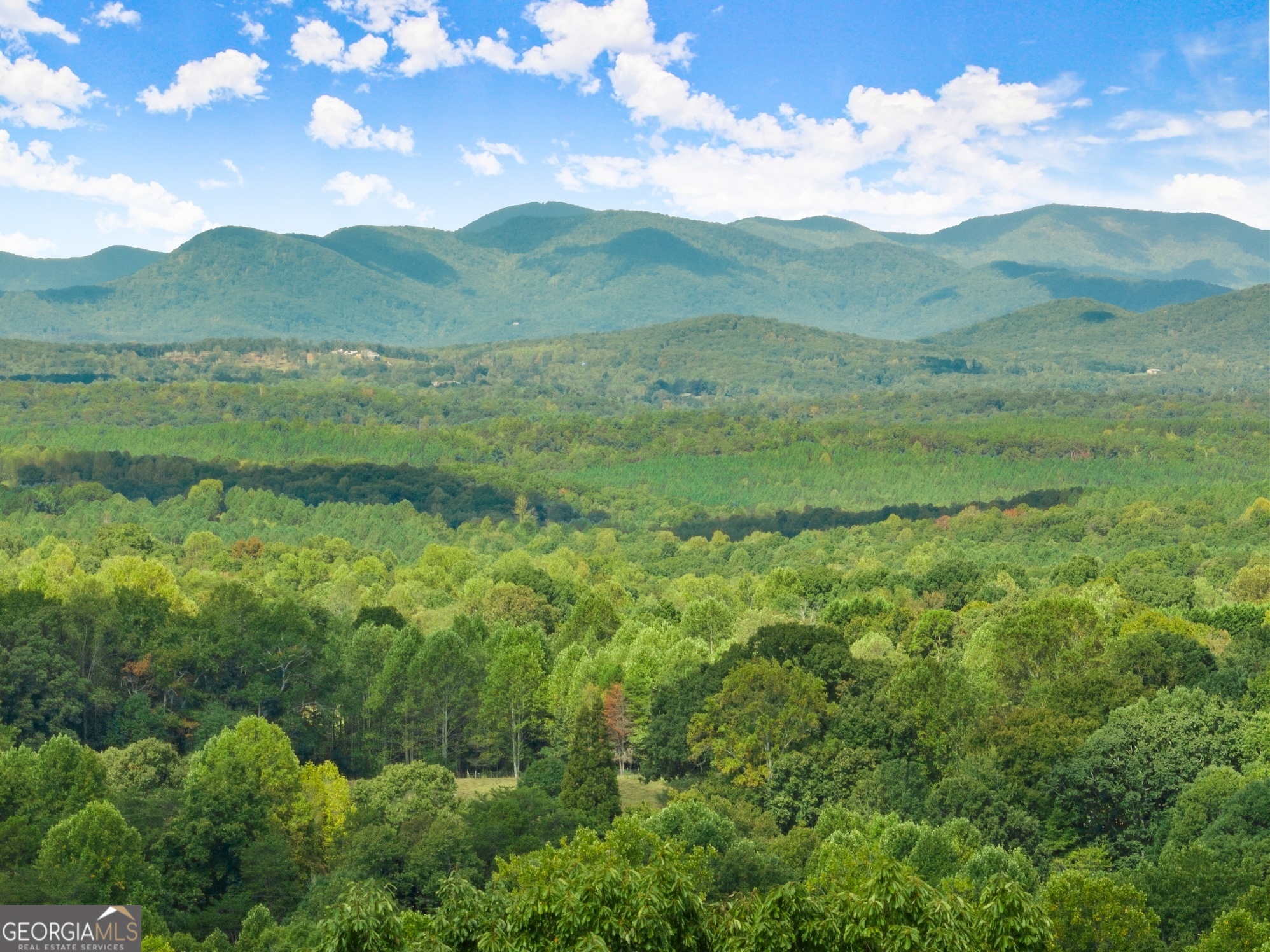 25 Long Mountain Trail Cleveland GA 30528