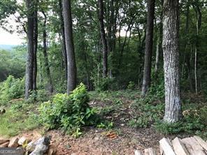 25 Long Mountain Trail Cleveland GA 30528