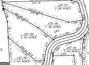 25 Long Mountain Trail Cleveland GA 30528