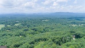 25 Long Mountain Trail Cleveland GA 30528