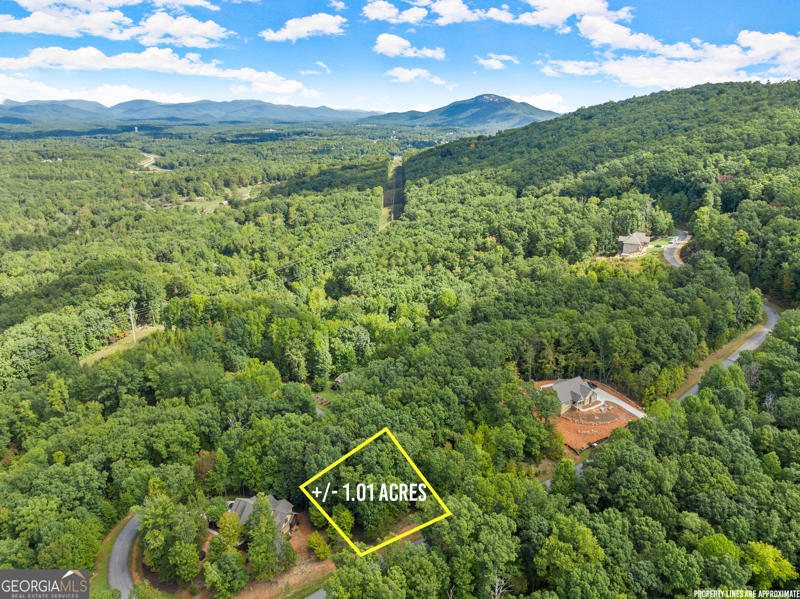 25 Long Mountain Trail Cleveland GA 30528