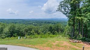 25 Long Mountain Trail Cleveland GA 30528