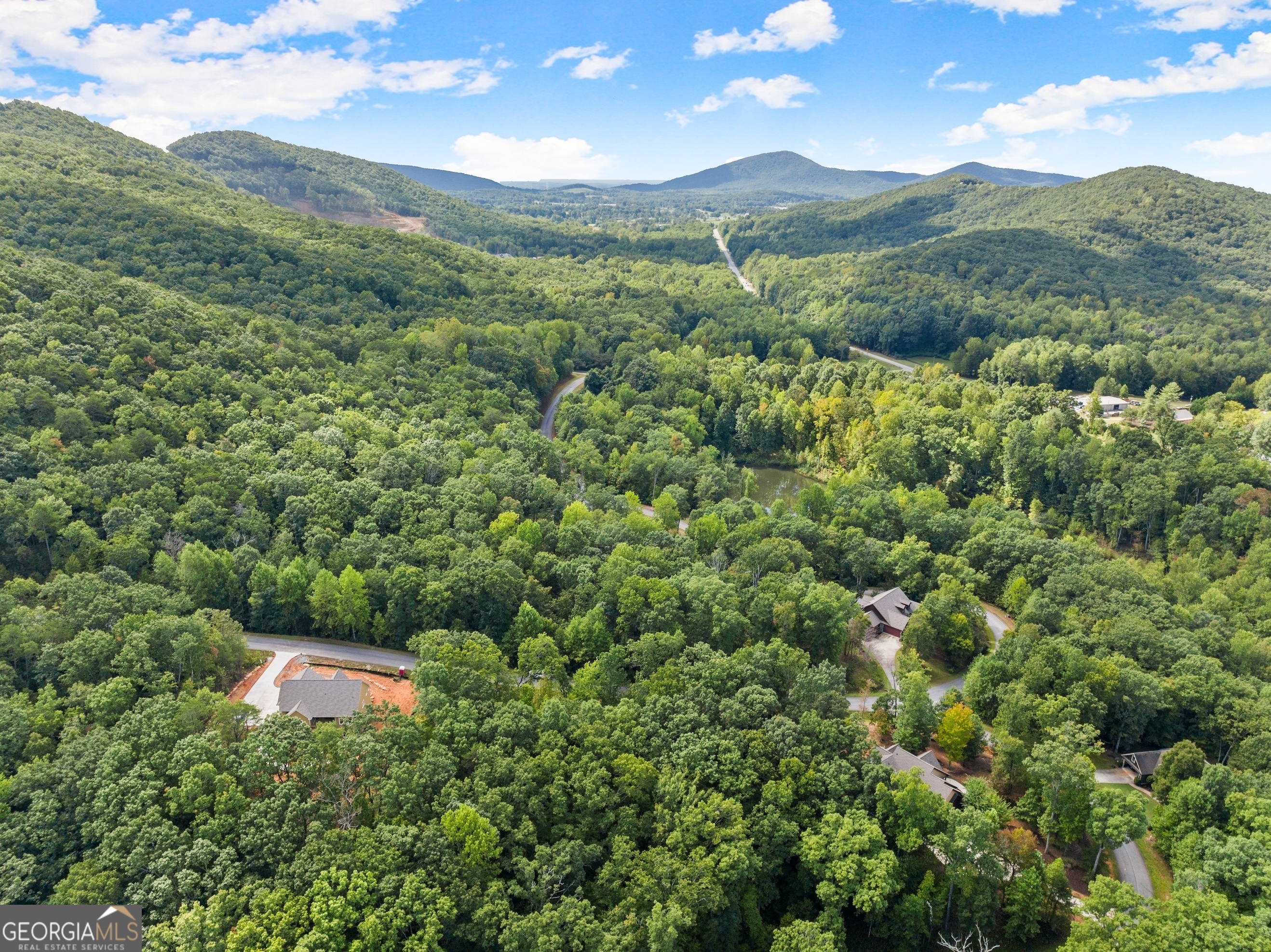 25 Long Mountain Trail Cleveland GA 30528