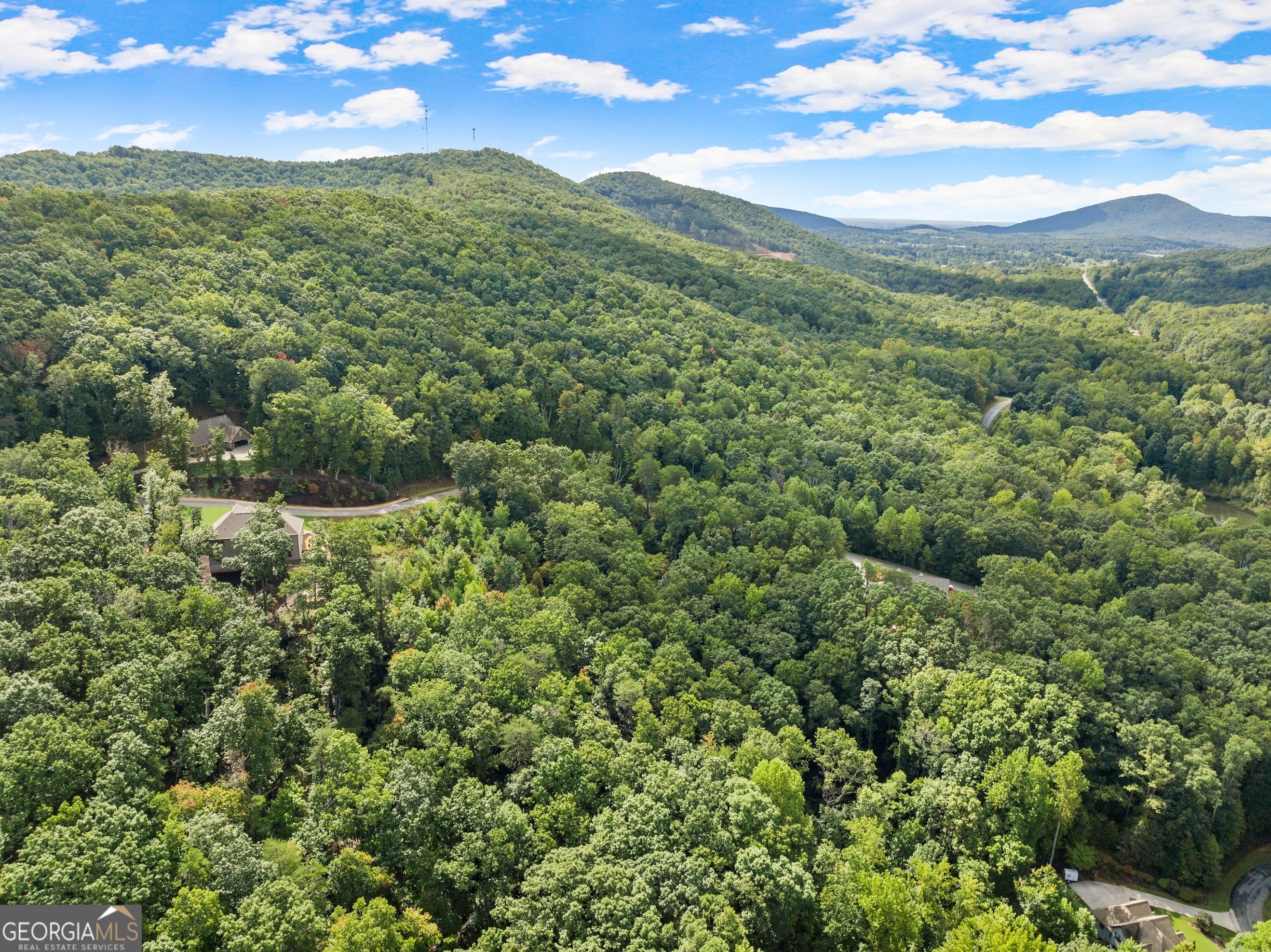 25 Long Mountain Trail Cleveland GA 30528