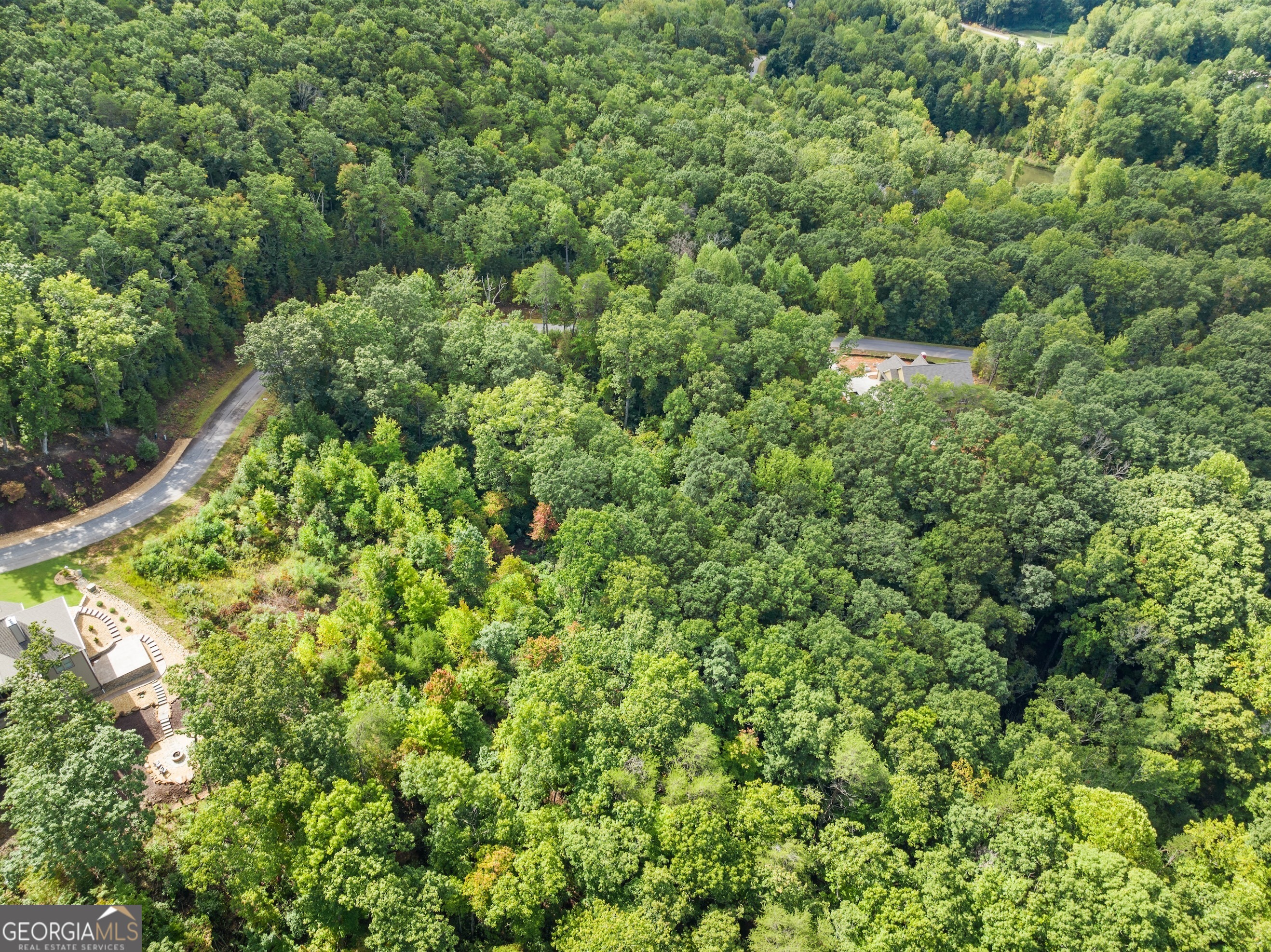 25 Long Mountain Trail Cleveland GA 30528