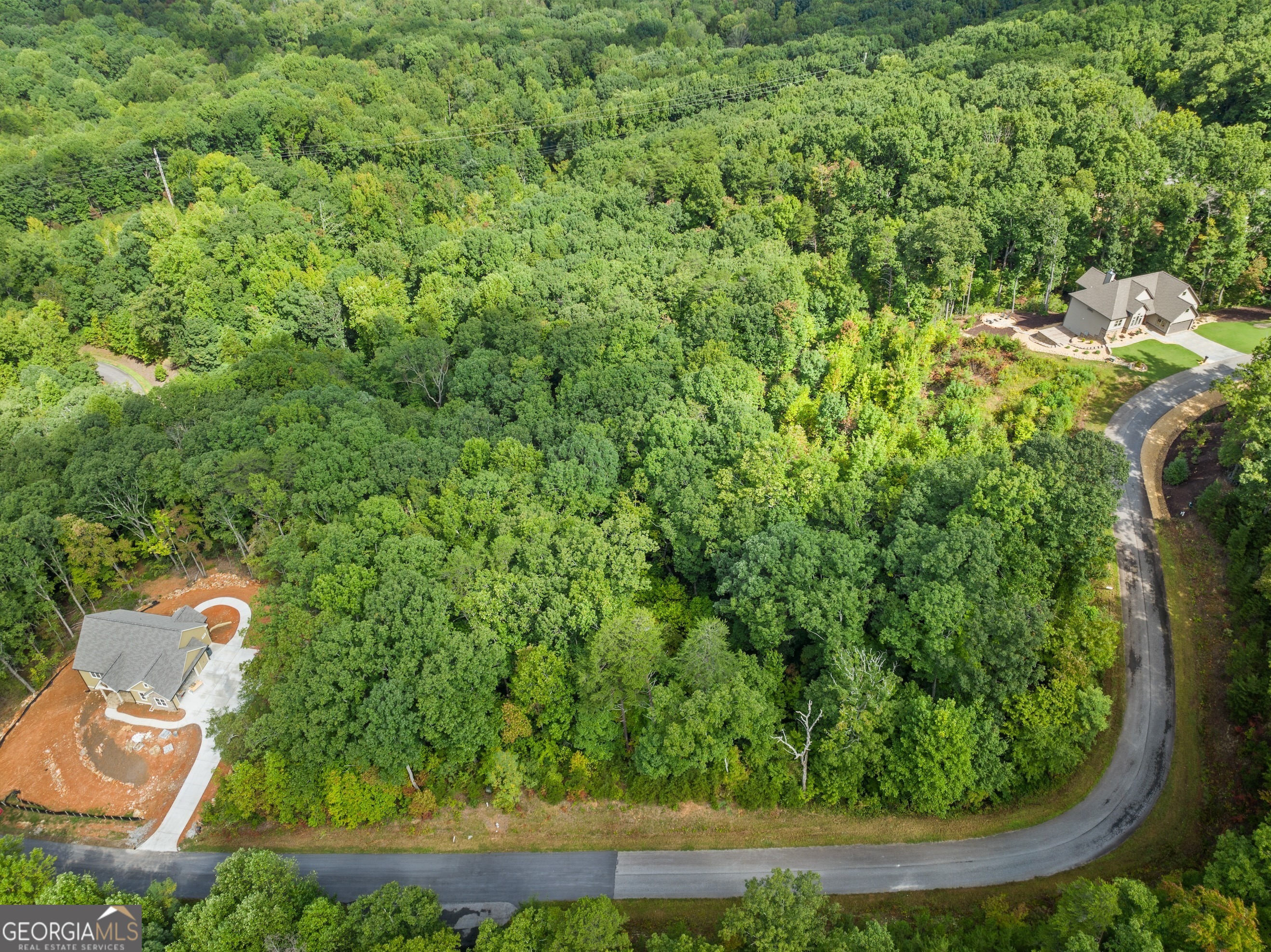 25 Long Mountain Trail Cleveland GA 30528