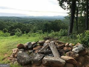 25 Long Mountain Trail Cleveland GA 30528