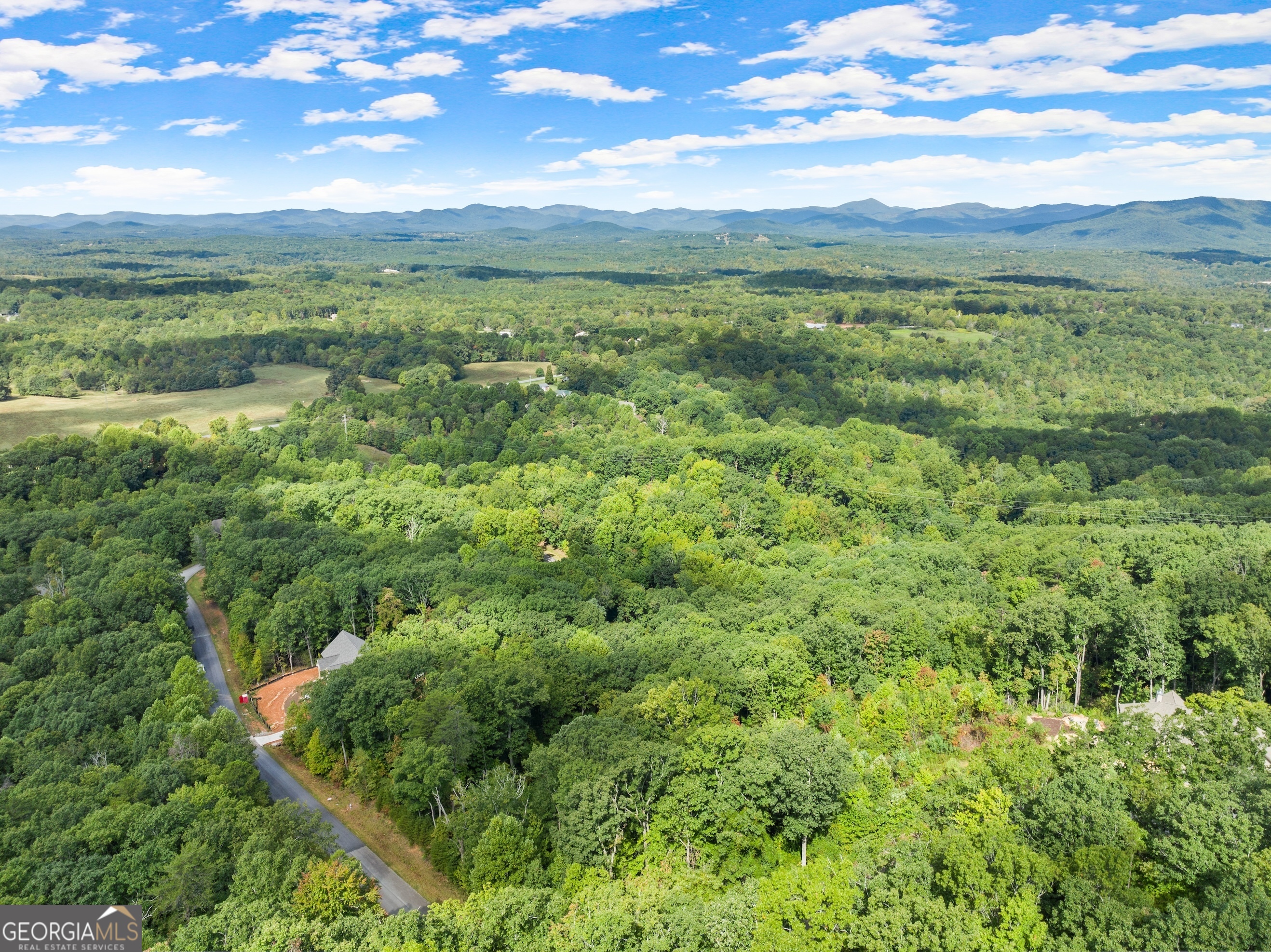 25 Long Mountain Trail Cleveland GA 30528