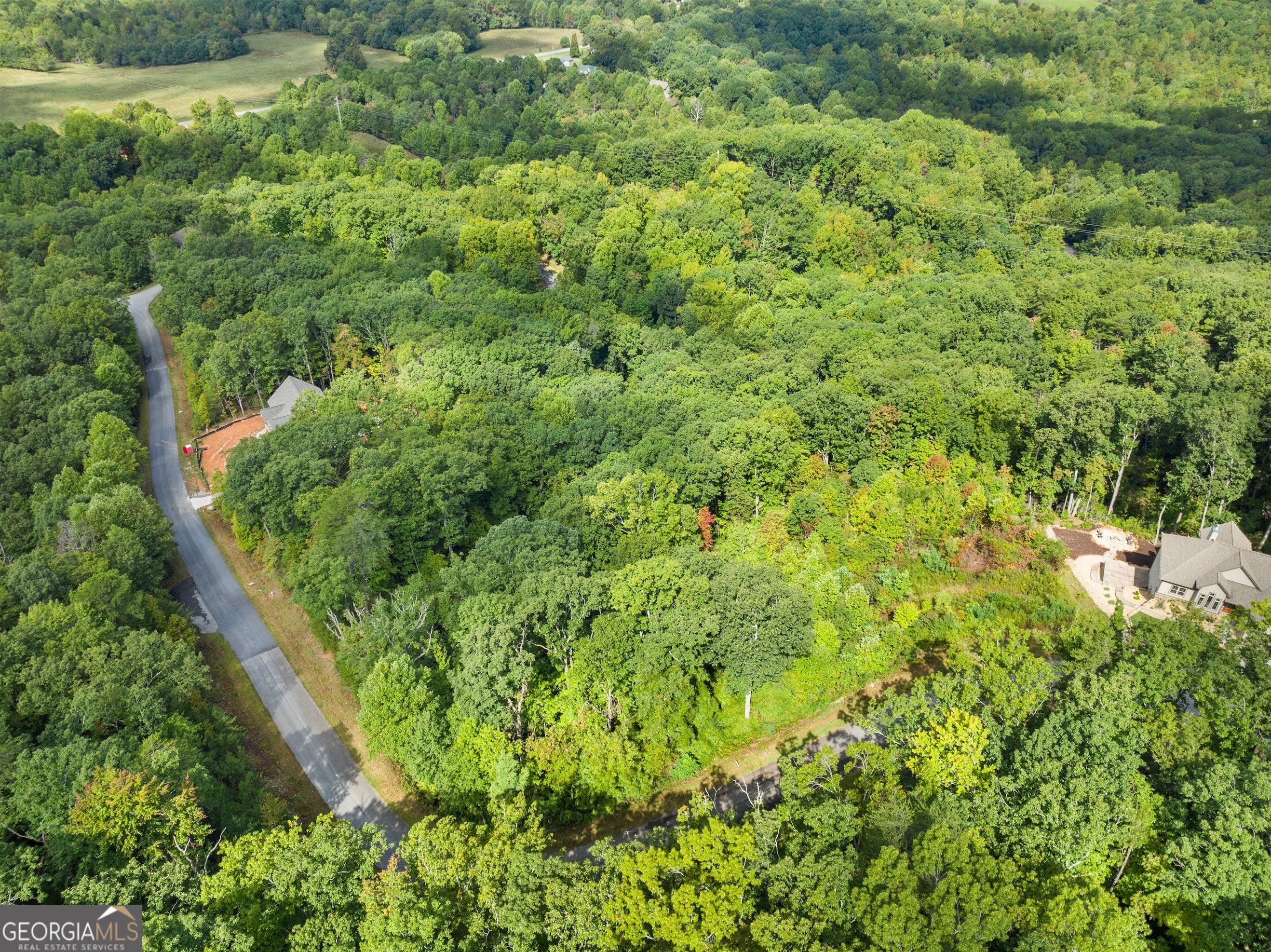25 Long Mountain Trail Cleveland GA 30528