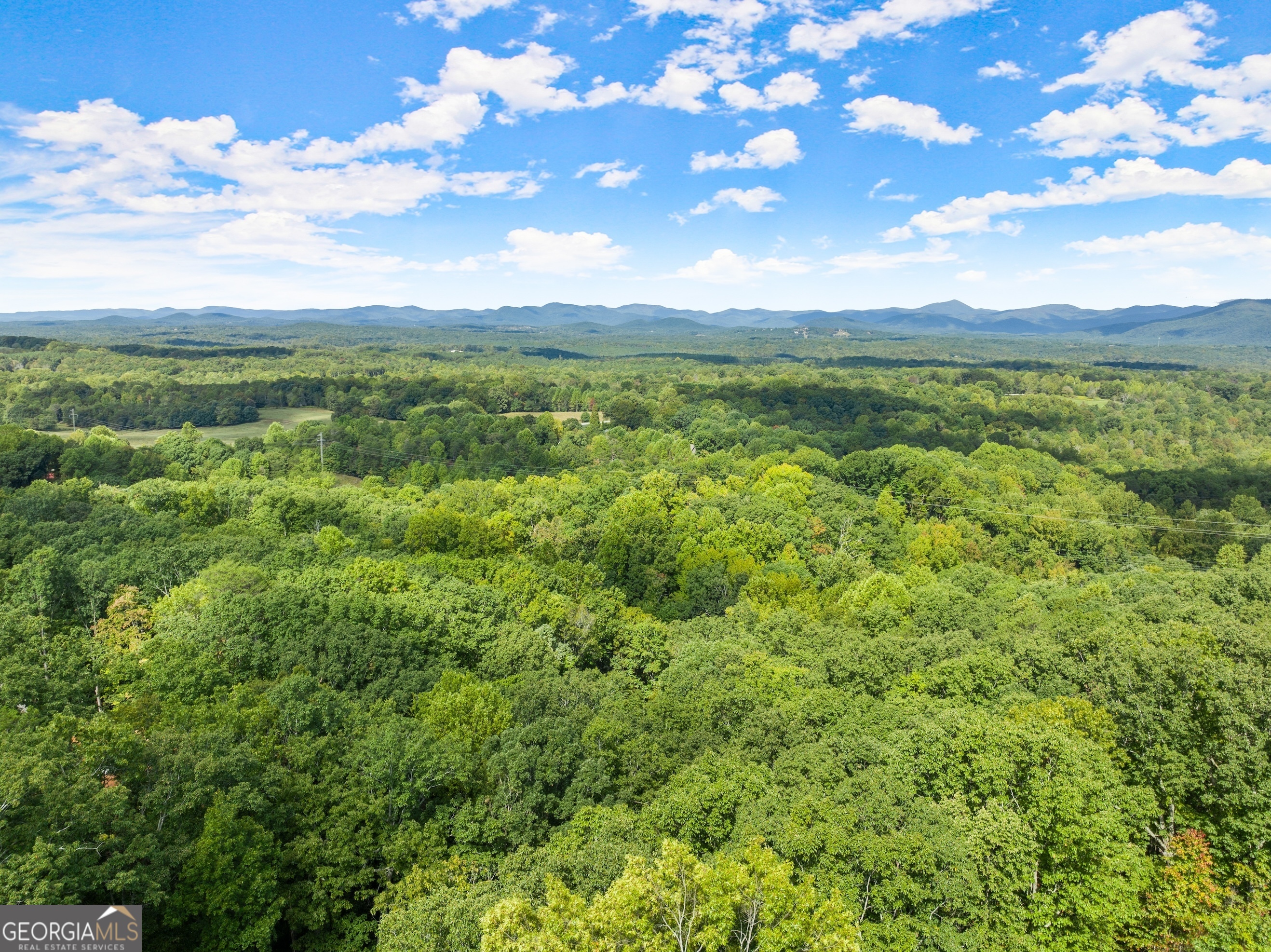 25 Long Mountain Trail Cleveland GA 30528