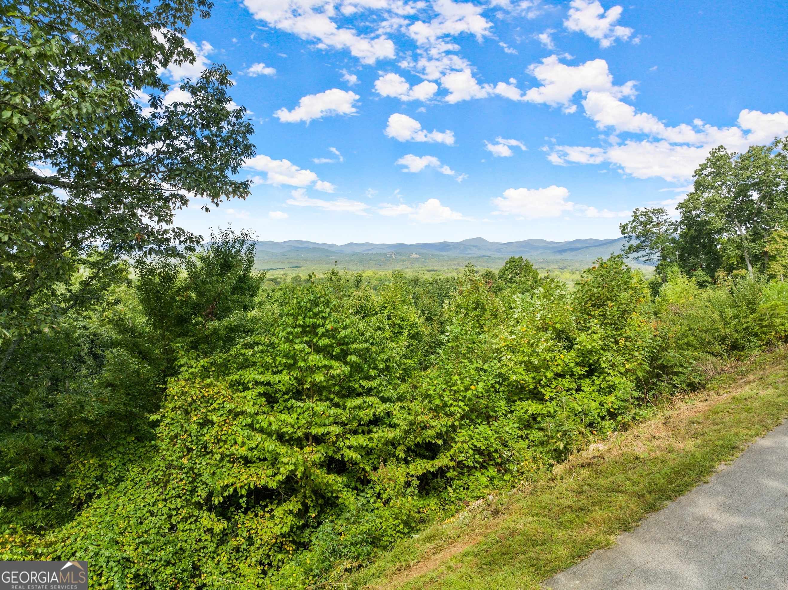 25 Long Mountain Trail Cleveland GA 30528
