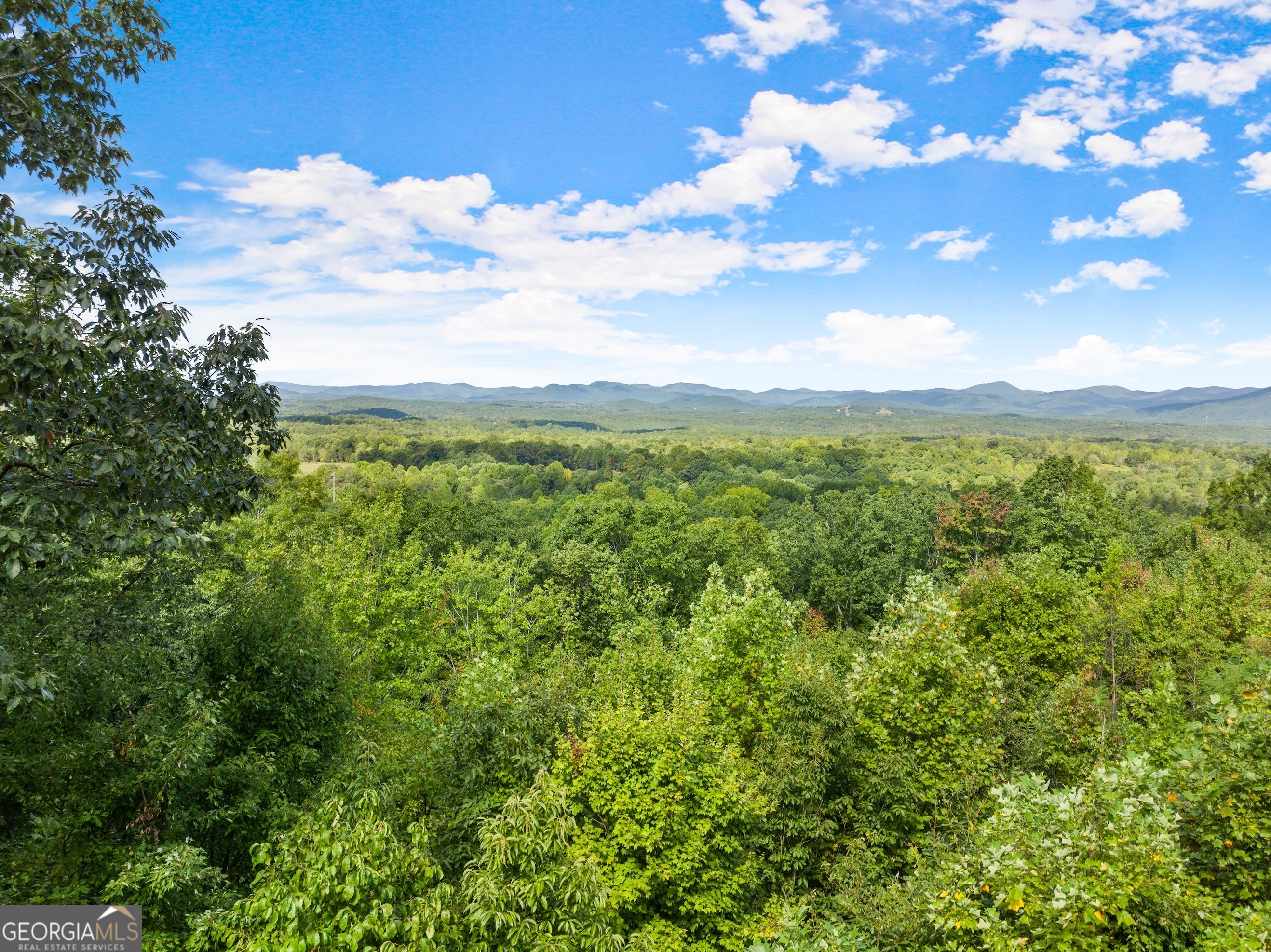 25 Long Mountain Trail Cleveland GA 30528