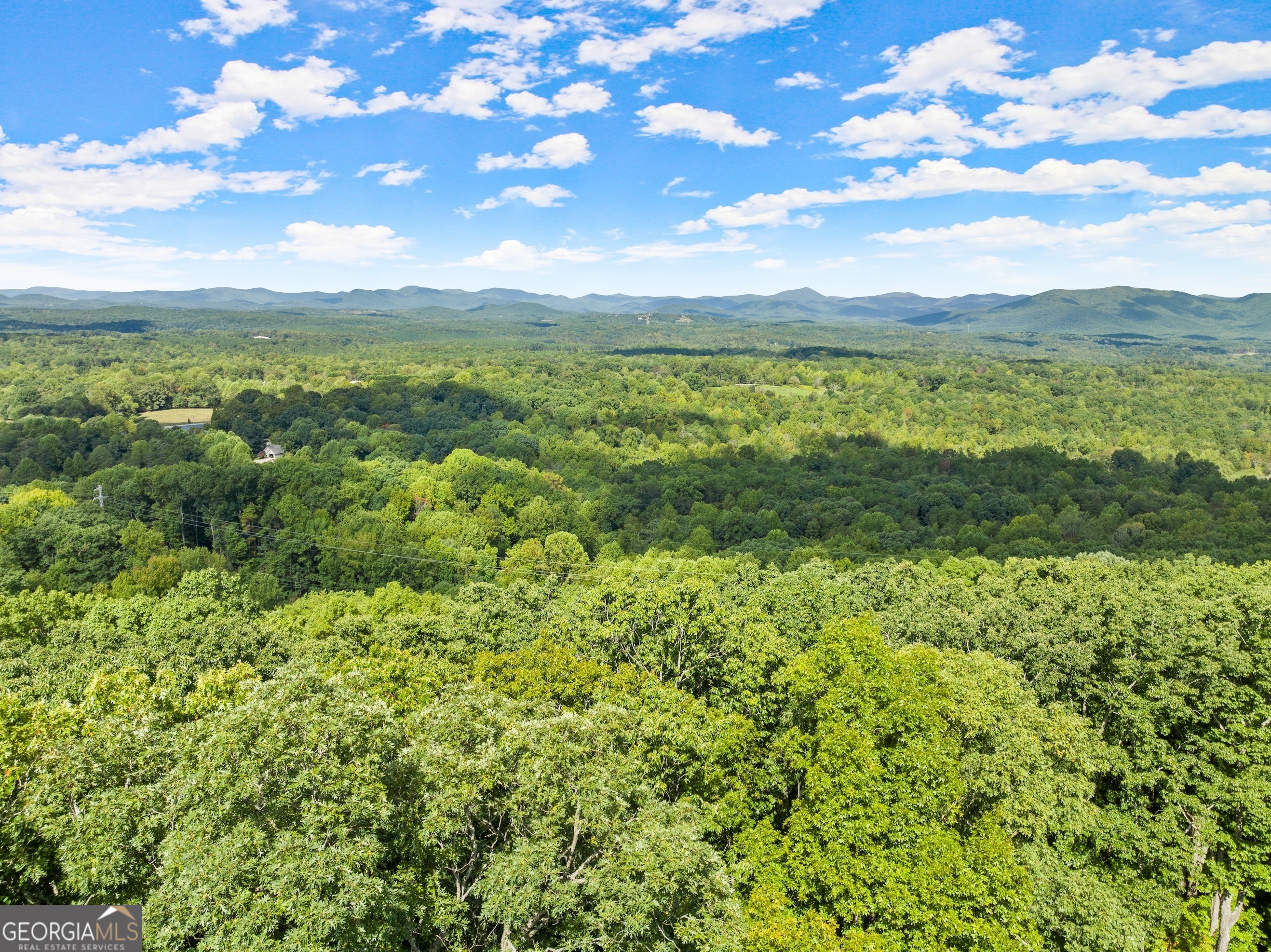 25 Long Mountain Trail Cleveland GA 30528