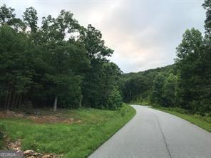 25 Long Mountain Trail Cleveland GA 30528