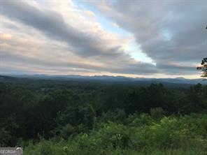 25 Long Mountain Trail Cleveland GA 30528