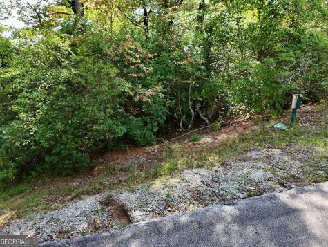 Lot 119 Ee Brown Hawk Drive Clayton GA 30525