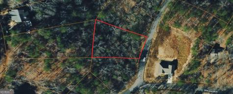 166 Lone Bear Drive Waleska GA 30183