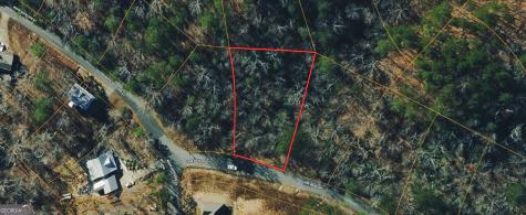 166 Lone Bear Drive Waleska GA 30183