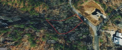 166 Lone Bear Drive Waleska GA 30183