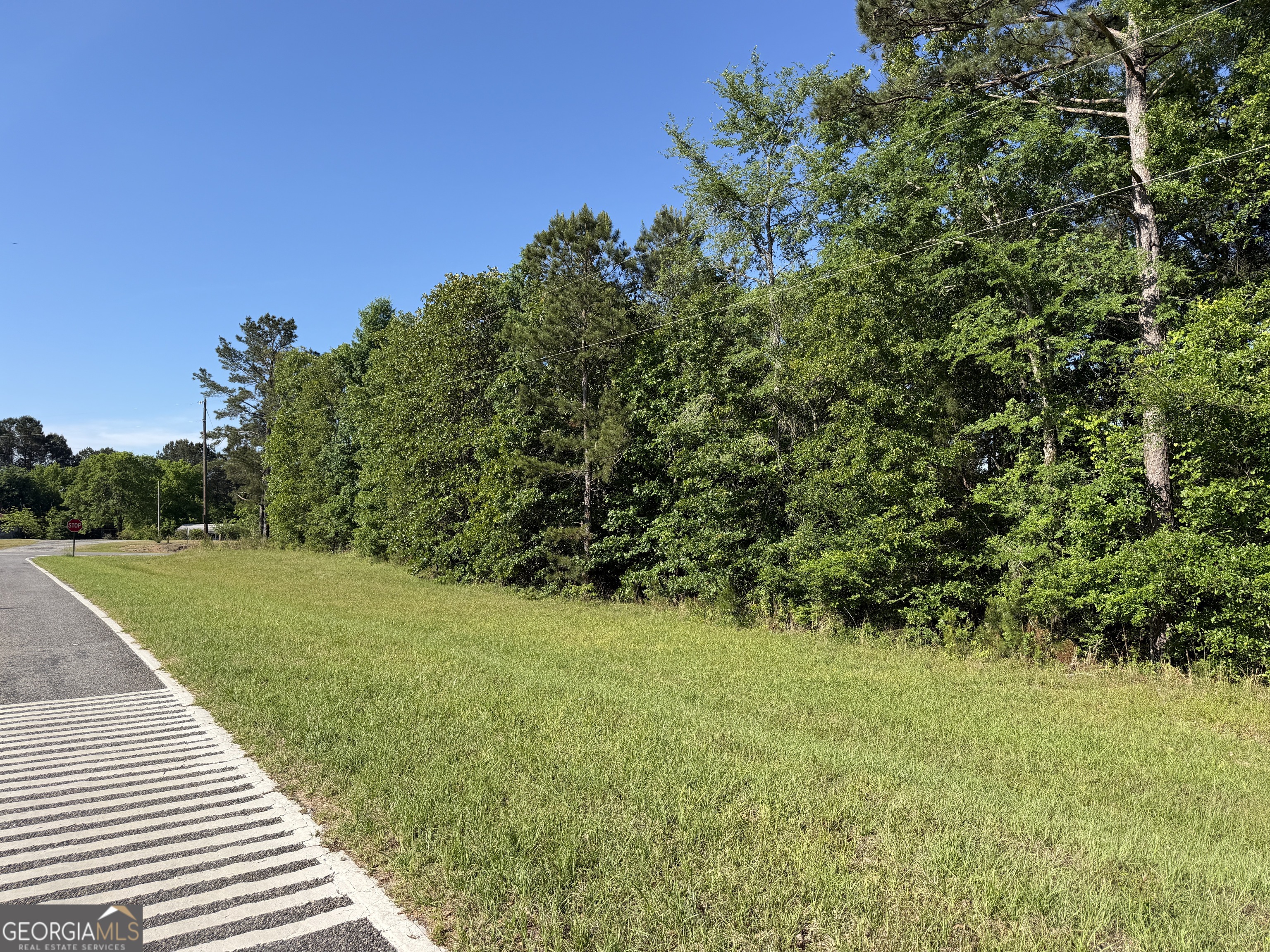 1.2 Acres Beasley Road Roberta GA 31078