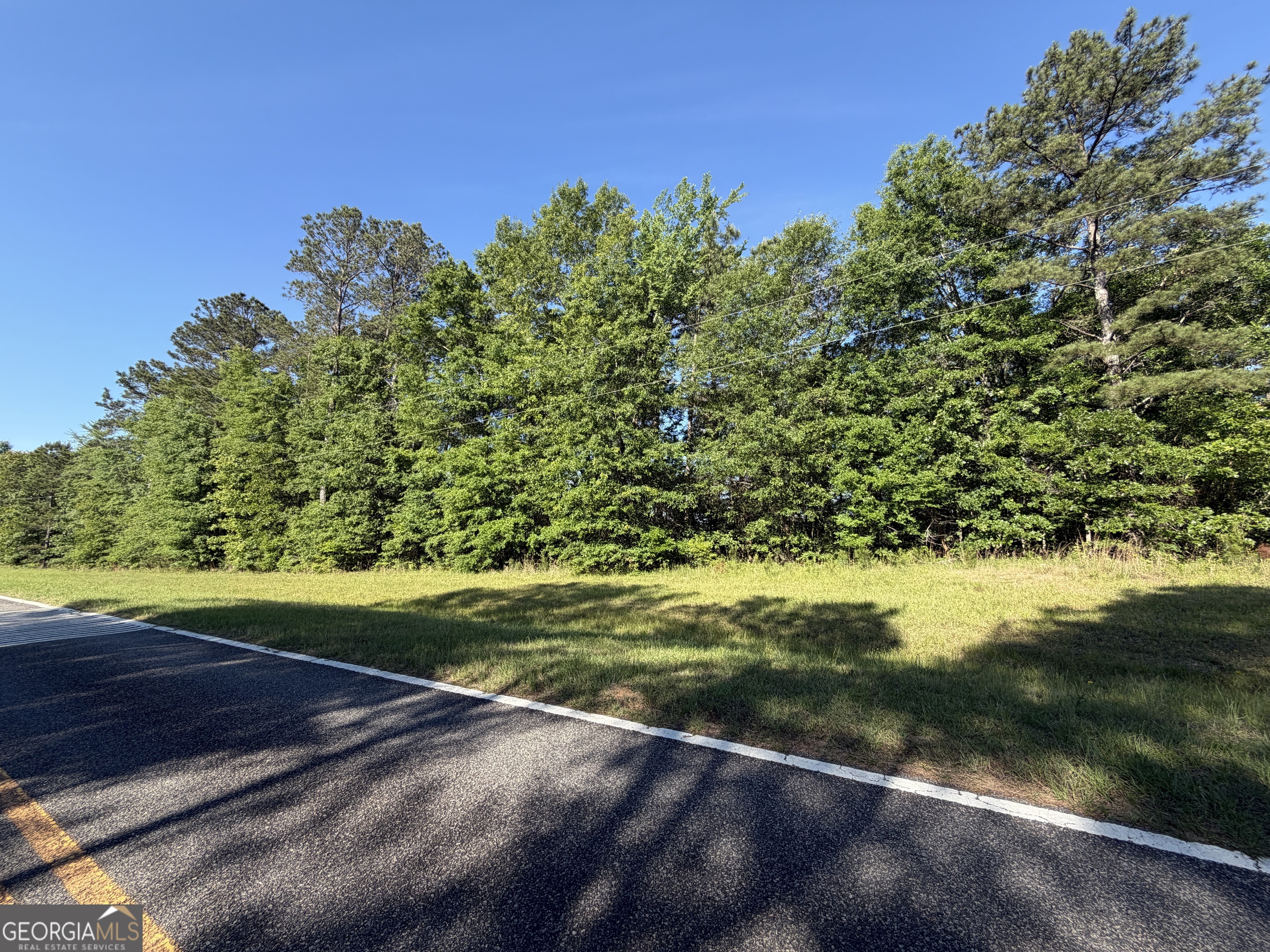 1.2 Acres Beasley Road Roberta GA 31078