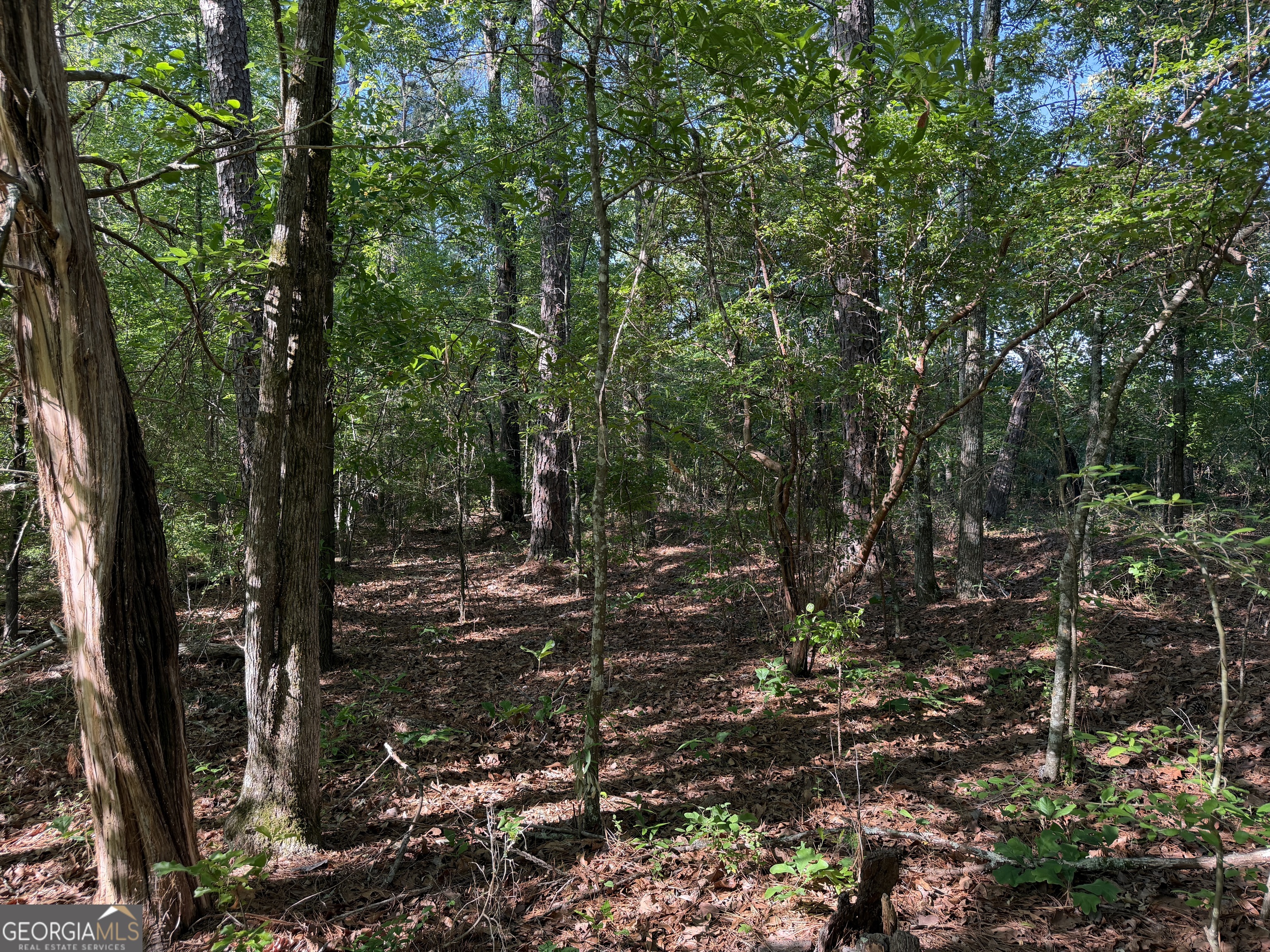 1.2 Acres Beasley Road Roberta GA 31078