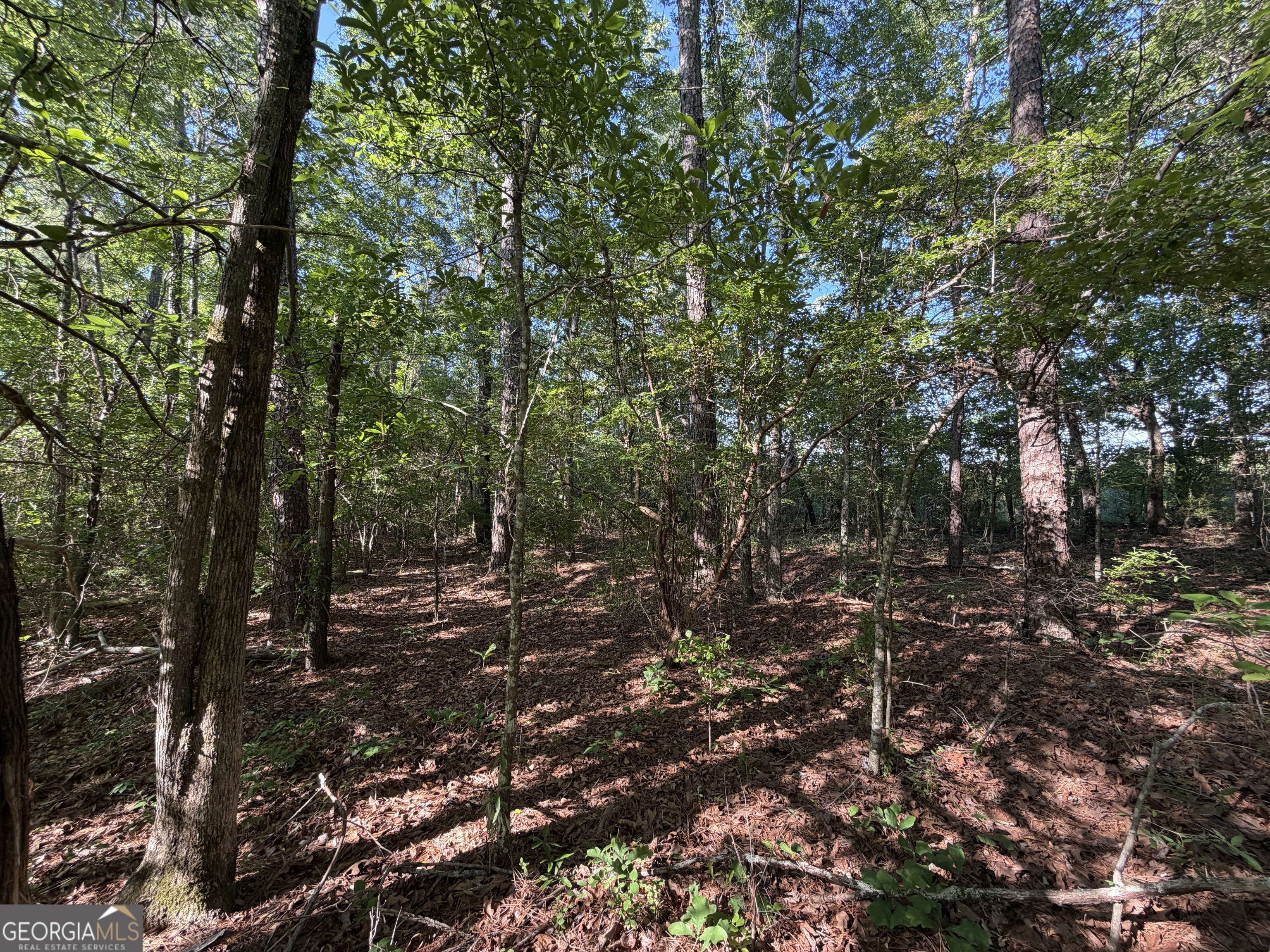 1.2 Acres Beasley Road Roberta GA 31078