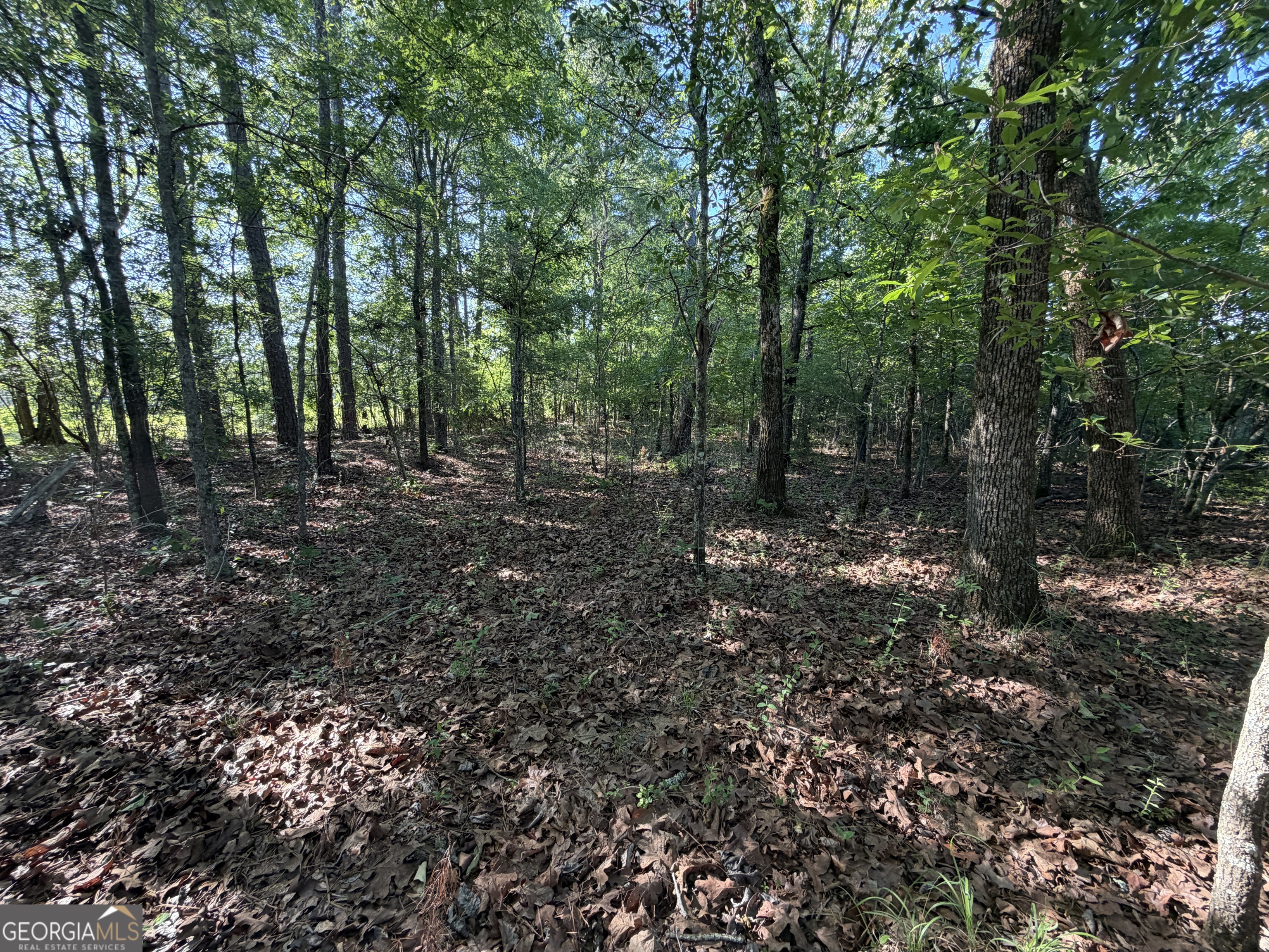 1.2 Acres Beasley Road Roberta GA 31078