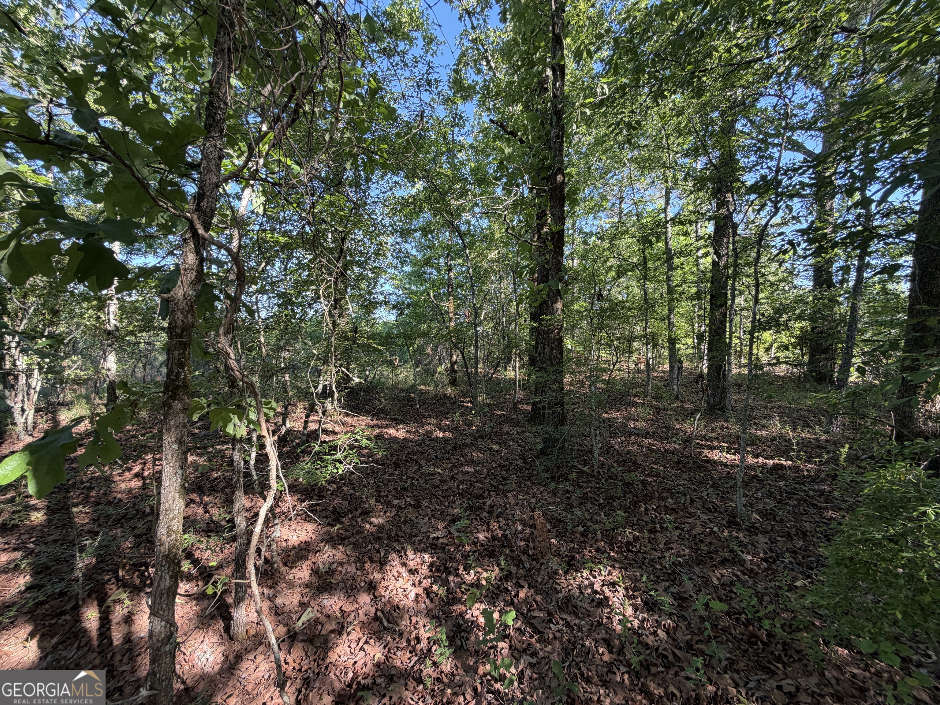 1.2 Acres Beasley Road Roberta GA 31078