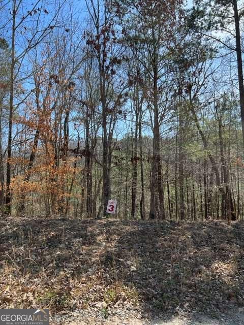 Lt 3 Hunter Ridge Ellijay GA 30540