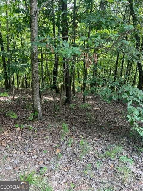 Lt 3 Hunter Ridge Ellijay GA 30540