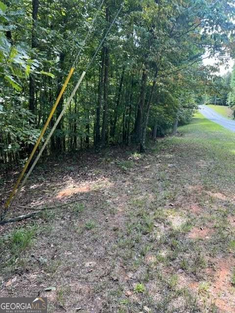 Lt 3 Hunter Ridge Ellijay GA 30540