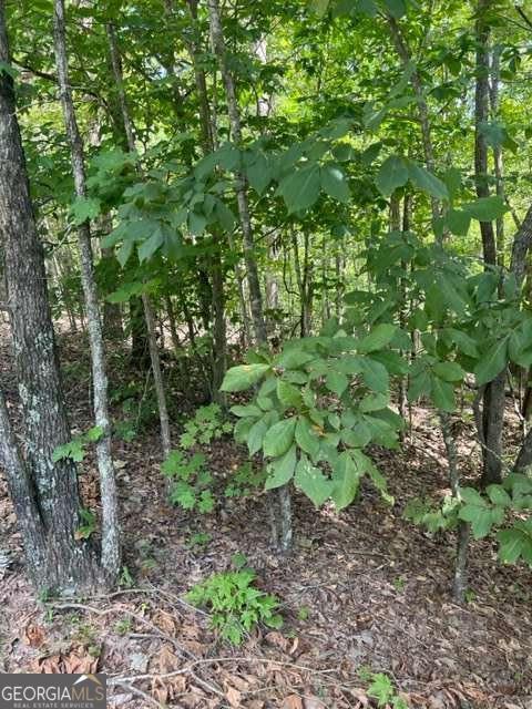 Lt 3 Hunter Ridge Ellijay GA 30540