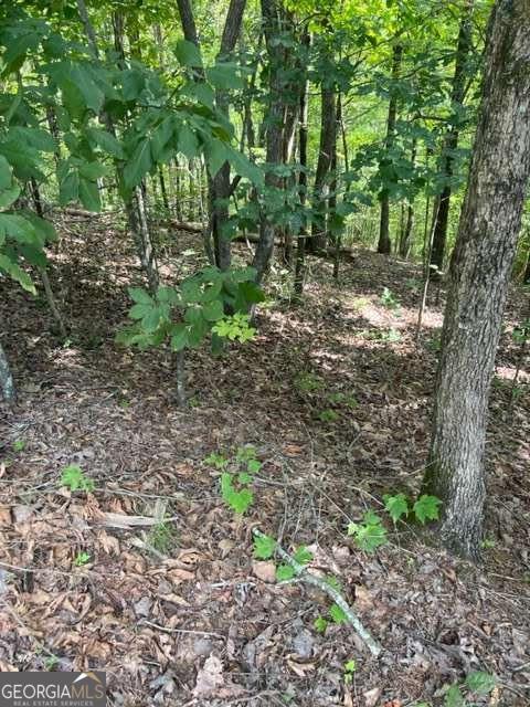 Lt 3 Hunter Ridge Ellijay GA 30540