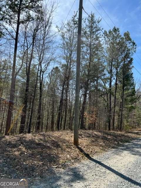 Lt 3 Hunter Ridge Ellijay GA 30540