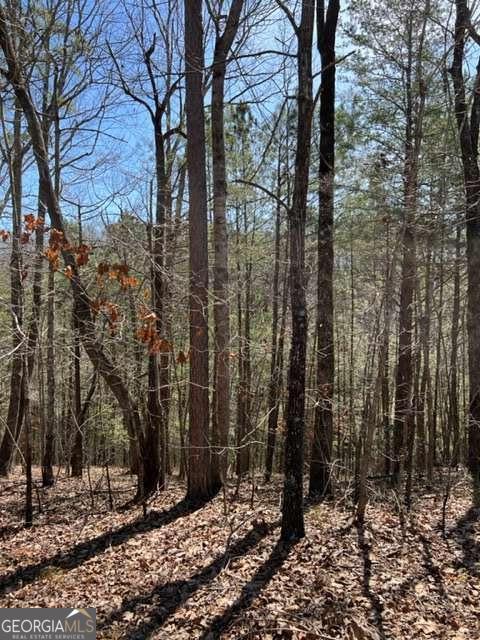 Lt 3 Hunter Ridge Ellijay GA 30540
