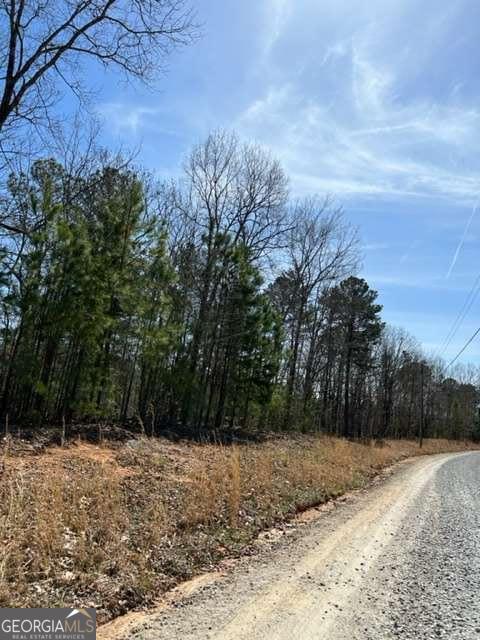 Lt 3 Hunter Ridge Ellijay GA 30540