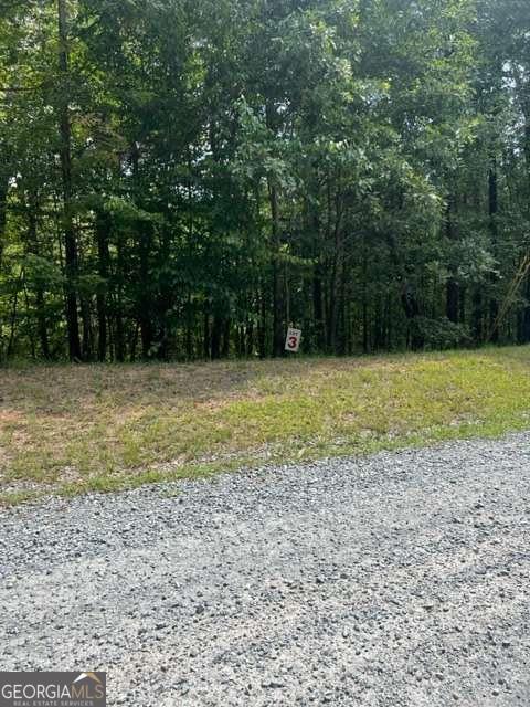Lt 3 Hunter Ridge Ellijay GA 30540